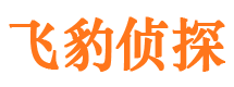 大同侦探公司